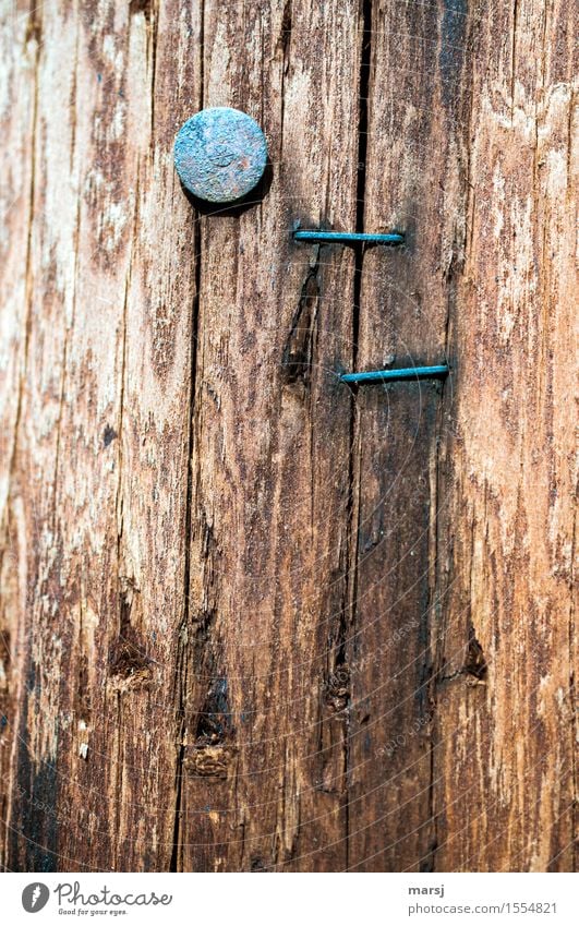 What good's that gonna do? Nail Staple Wood Rust Old Simple moored Stapler nail head Futile Useless Crack & Rip & Tear Texture of wood Weathered Patina