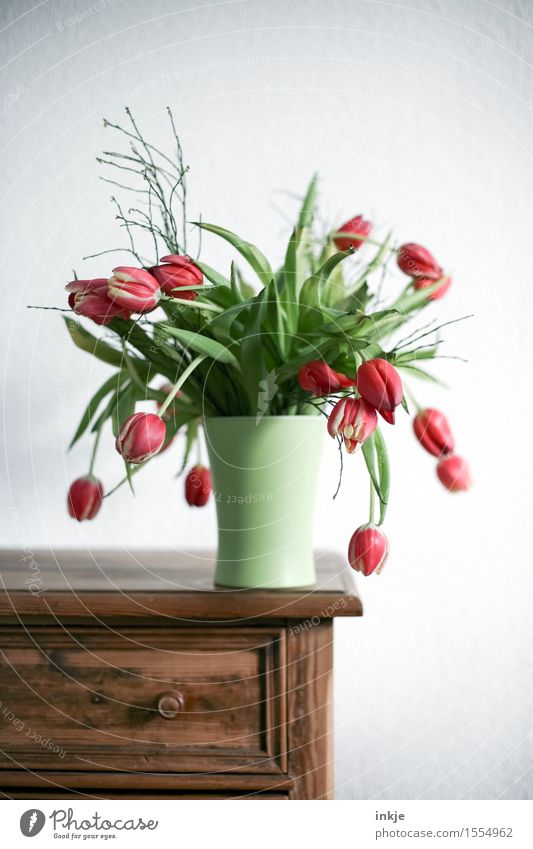tulips Lifestyle Living or residing Flat (apartment) Decoration Spring Tulip Bouquet Spring flower Spring colours Deserted Flower vase Chest of drawers Ancient