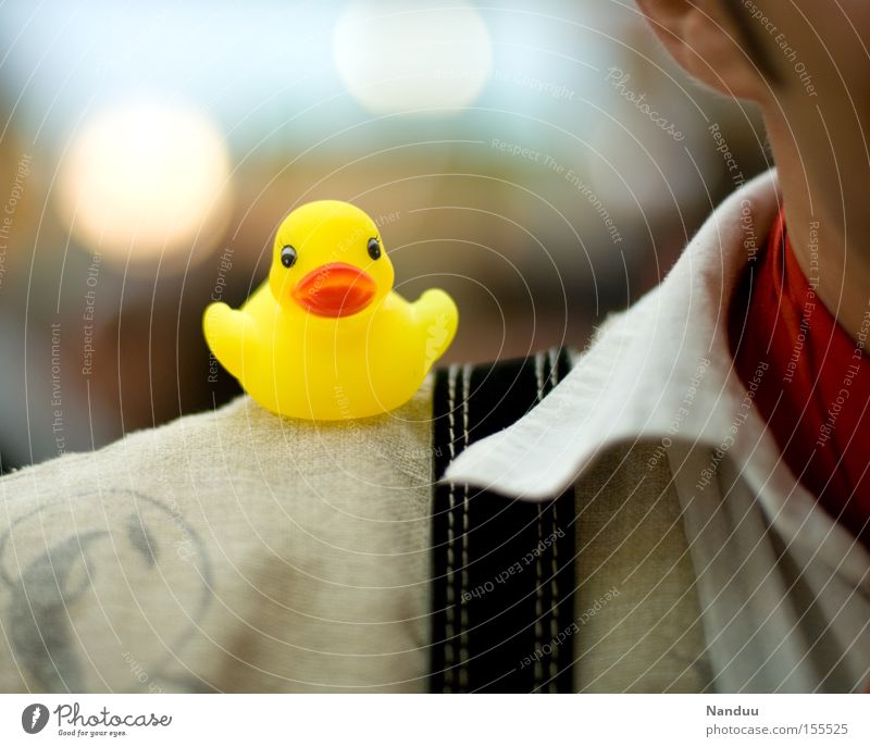 shoulder look Duck Squeak duck Shoulder Sit Suspenders Shirt Brash Cute Plastic Yellow Decoration Bird