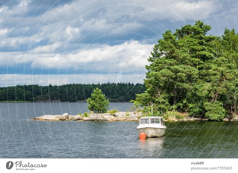 Archipelago on the Swedish coast Relaxation Vacation & Travel Tourism Island Nature Landscape Clouds Tree Coast Baltic Sea Watercraft Blue Green Skerry Swede