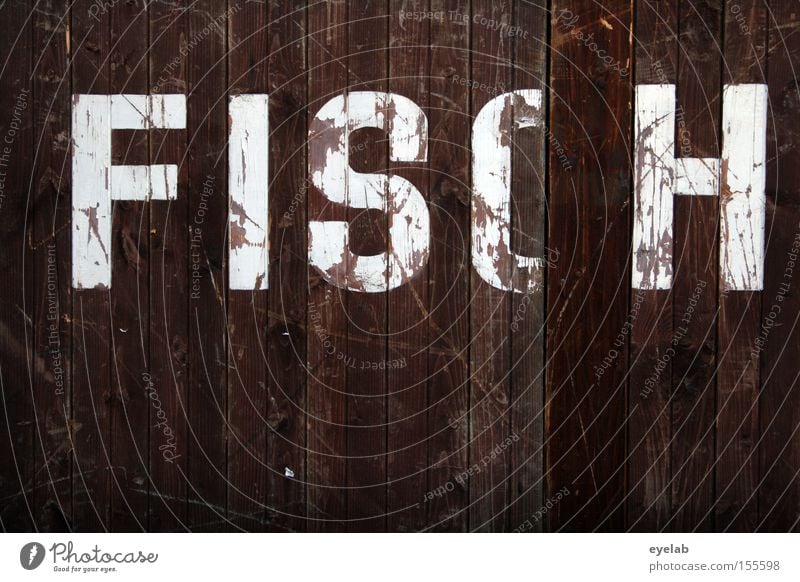 FISCH on Monday Wood Wall (building) Scratch mark Smear Wooden wall Hut Building Letters (alphabet) Typography Word Detail Characters Fish syllable