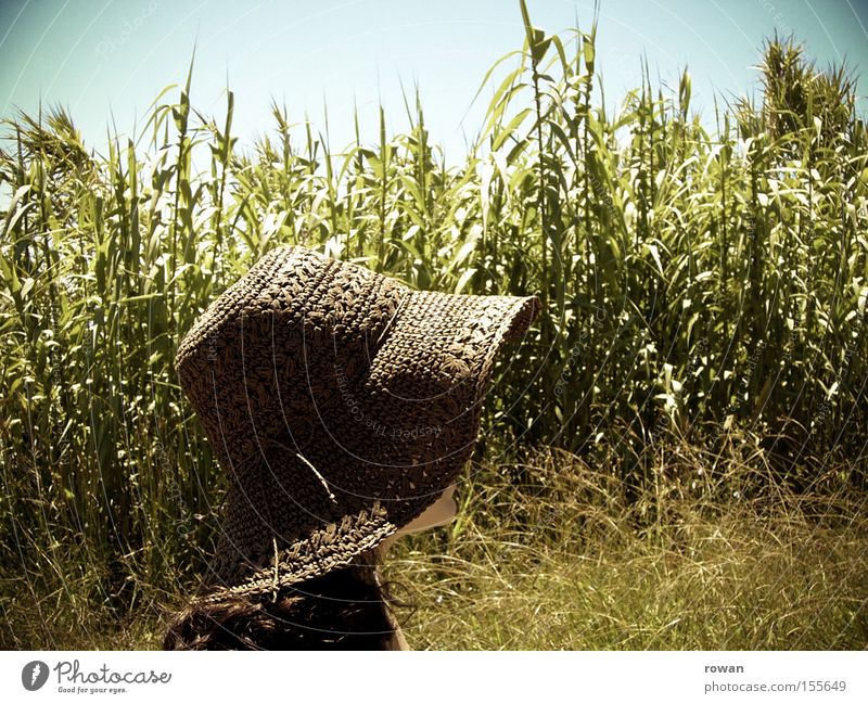 Summer! Sunhat Warmth Maize field To go for a walk Hat Country life Rural Calm lady's hat summer hat Americas Agriculture