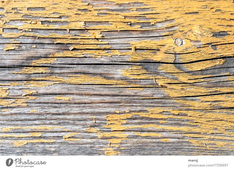 too late Dye Yellow Wood grain Background picture Old Hideous Change Crack & Rip & Tear deceased Patina Knothole weathered Decline Colour photo Subdued colour