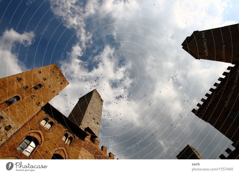 BirdPerspective San Gimignano Italy Tuscany Small Town Downtown Old town House (Residential Structure) High-rise Religion and faith Dome Palace Places Tower
