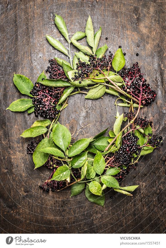 Wreath of elderberry branches with berries and leaves Food Fruit Dessert Jam Nutrition Organic produce Style Design Healthy Eating Life Table Nature Plant Tree