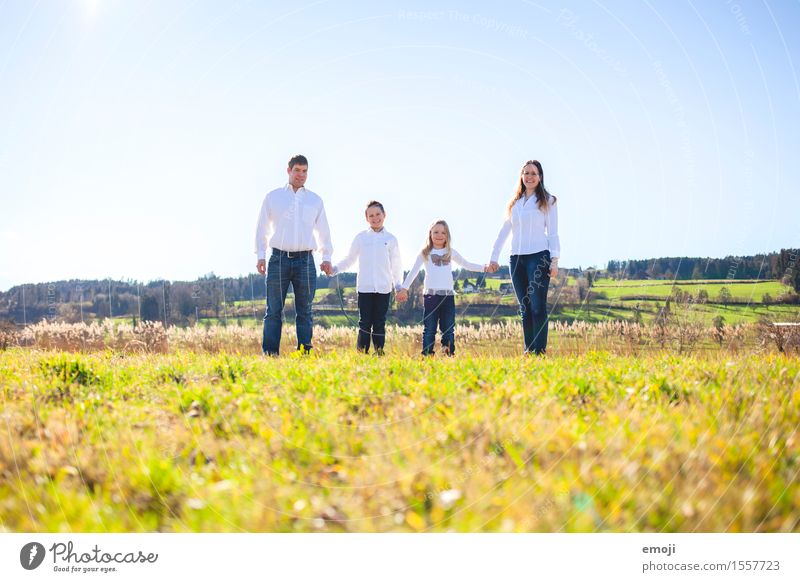 happy family holding hands Human being Masculine Feminine Family & Relations 4 Group Environment Nature Summer Beautiful weather Meadow Together Happy naturally