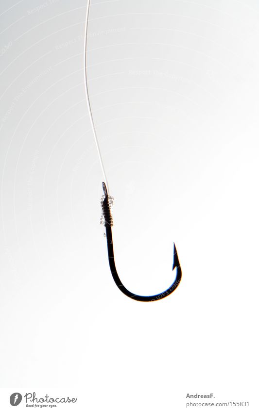hook Checkmark Spoon bait Bait Lure Ambush Trap Catch Fishing (Angle) Fishery Point Barbed hook Fishing line Angler Leisure and hobbies Success Sharp thing