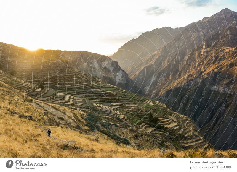 Colca Canyon Trip Adventure Expedition Camping Mountain Hiking Nature Landscape Sunrise Sunset Arequipa Peru South America Deserted Tourist Attraction
