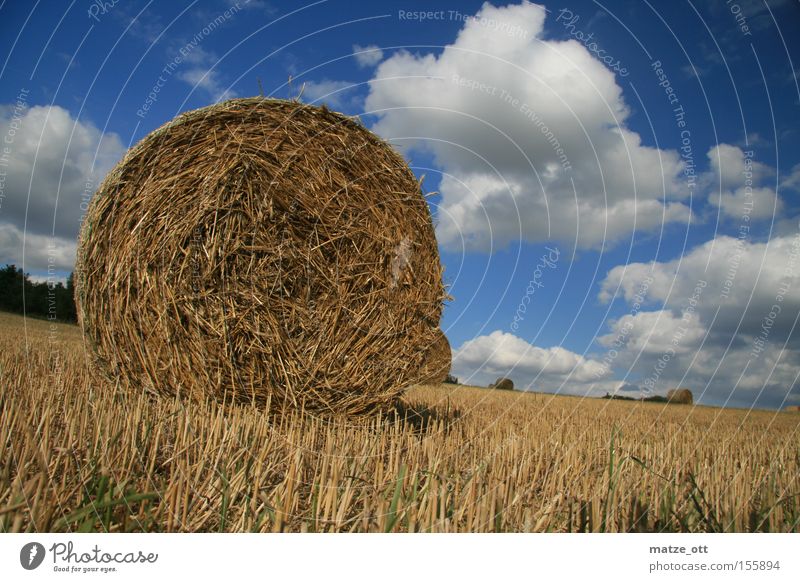 straw bale Straw Bale of straw Autumn Sky Clouds Summer Nature Hay August Upper Franconia Bavaria Field Agriculture Grain