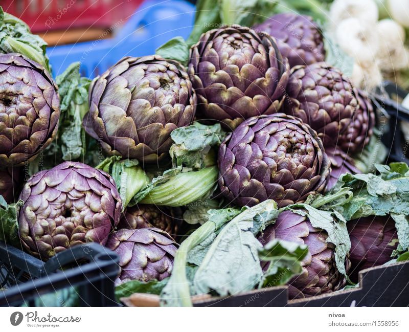 artichokes Food Vegetable Artichoke Nutrition Lunch Organic produce Slow food Italian Food Agriculture Forestry Trade Nature Plant Agricultural crop Places