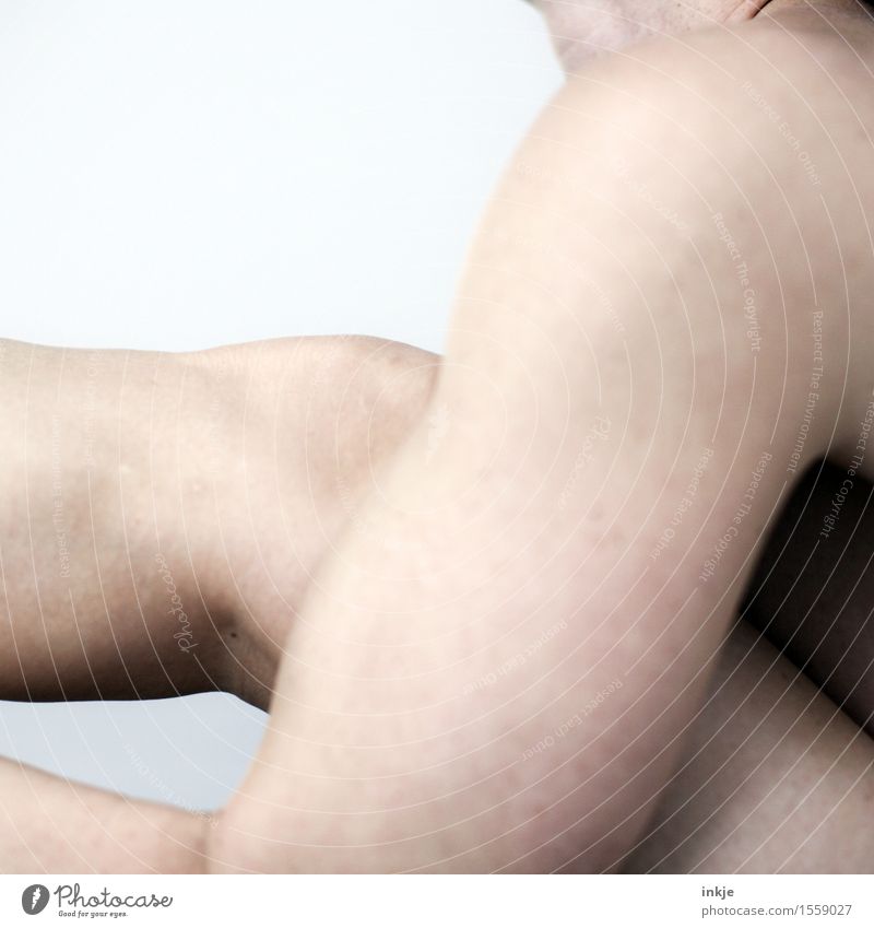 Q - III Adults Life Body Arm Legs 1 Human being Movement Duck down Skin Naked Colour photo Subdued colour Interior shot Studio shot Close-up Isolated Image