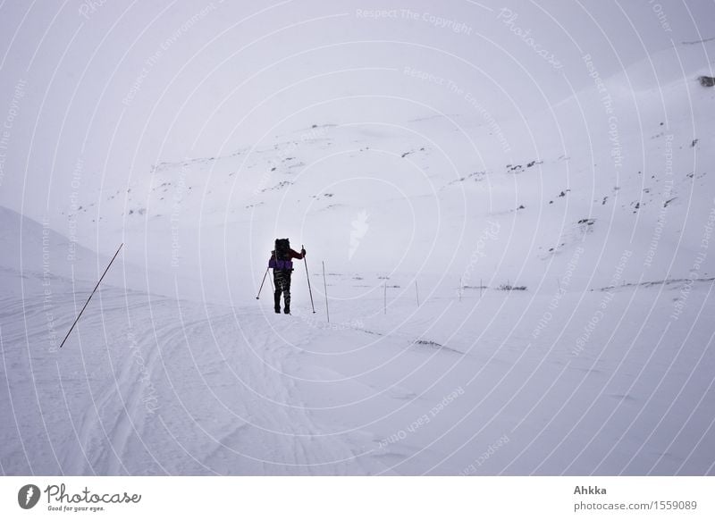 Winter weather, a ski hiker follows a marked trail through a snowy mountain landscape Adventure Far-off places Winter vacation Winter sports Skiing 1