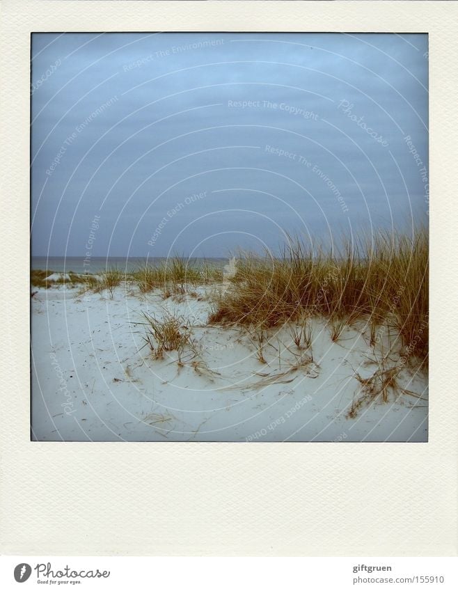 dune du pola Ocean Coast Sand Beach Baltic Sea Prerow Darss Horizon Sky Vacation & Travel Relaxation Calm Polaroid Earth Beach dune