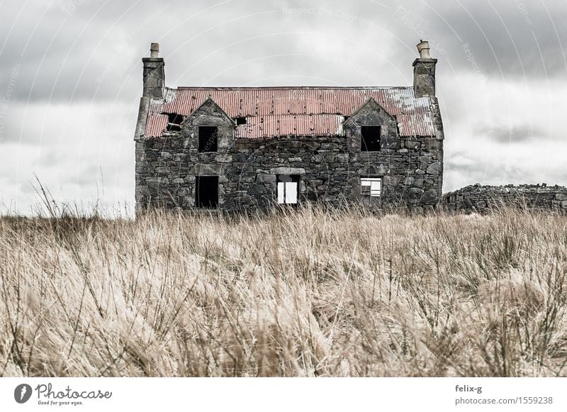 creepy Landscape Clouds Autumn Bad weather Wind Grass Meadow House (Residential Structure) Hut Ruin Shed Facade Chimney Stone Old Sadness Creepy Gray Fear