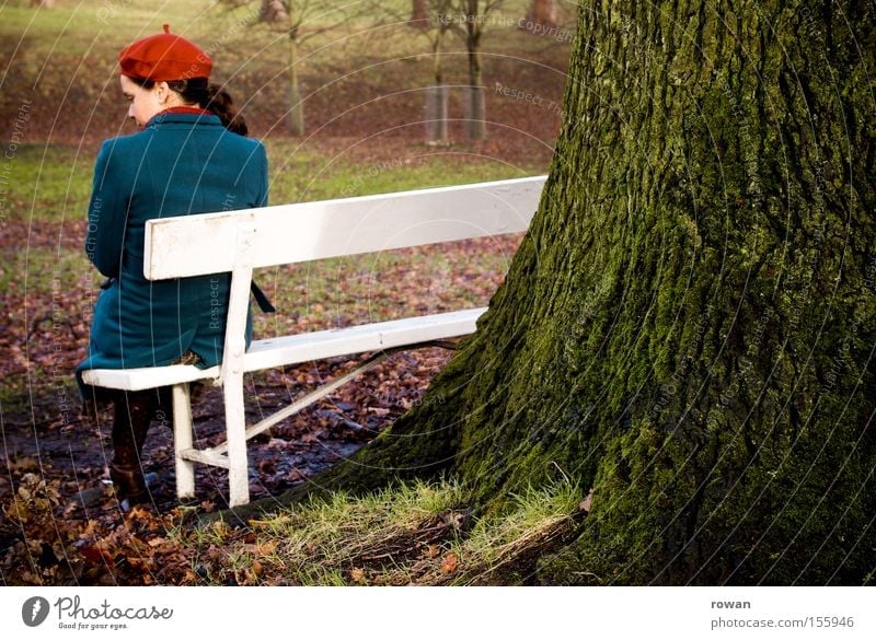 moment in the park Park Park bench Sit Woman Think Calm Relaxation Tree Autumn Cold Grief Loneliness Garden ponder Sadness