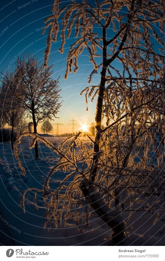 winter wonderland Winter Snow Ice Cold Tree White Sky Blue Dresden Hoar frost Frost Sunrise Morning Meadow Field Celestial bodies and the universe