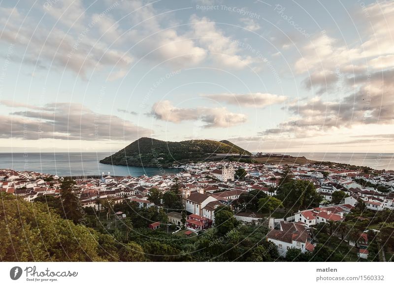 Angra do Heroísmo Nature Landscape Plant Air Water Sky Clouds Horizon Sunrise Sunset Summer Climate Beautiful weather Forest Hill Coast Ocean Island Town