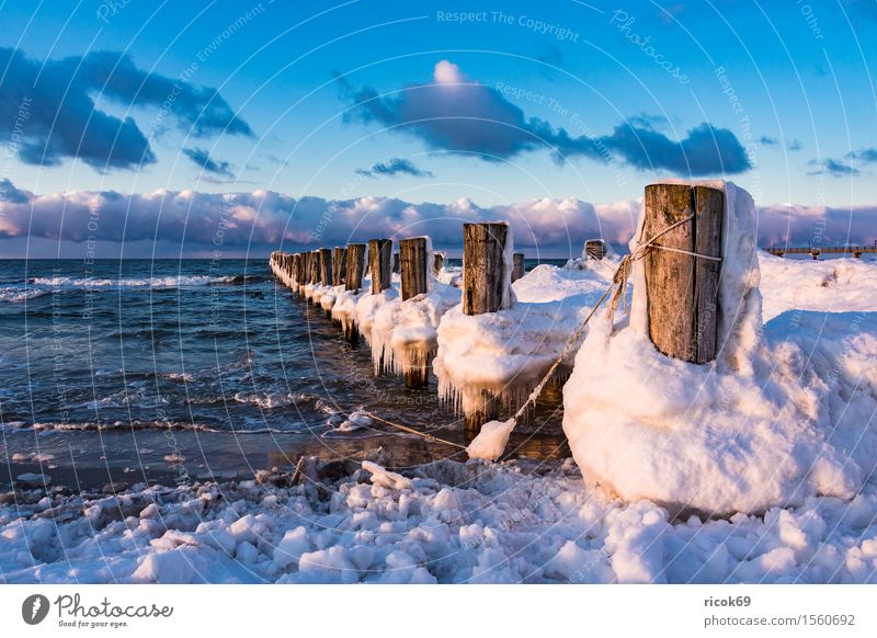 Stage at the Baltic Sea coast near Zingst Relaxation Vacation & Travel Tourism Beach Ocean Winter Nature Landscape Water Clouds Coast Wood Cold Romance Idyll