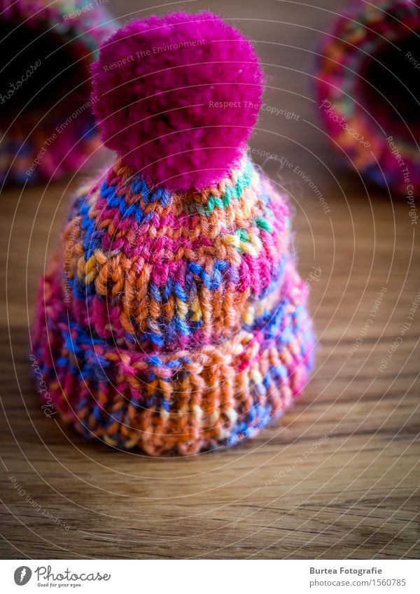 egg cap Easter Sunlight Cuddly Funny Blue Multicoloured 2016 March Egg cosy embroidered cap Colour photo Interior shot Deserted Day Light Contrast