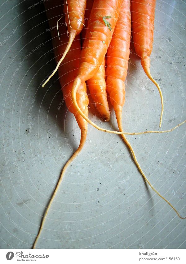 rabbit food Carrot Healthy Vegetarian diet Vegetable Nutrition Root Root vegetable Raw vegetables Orange