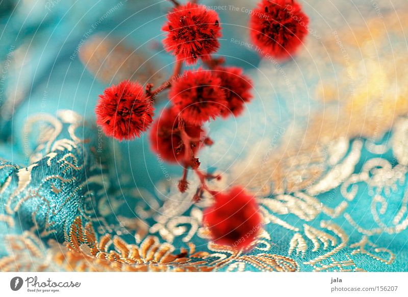 far east II Plant Flower Twig Dried flower Asia Tuft Red Yellow Playing Cloth Decoration Turquoise