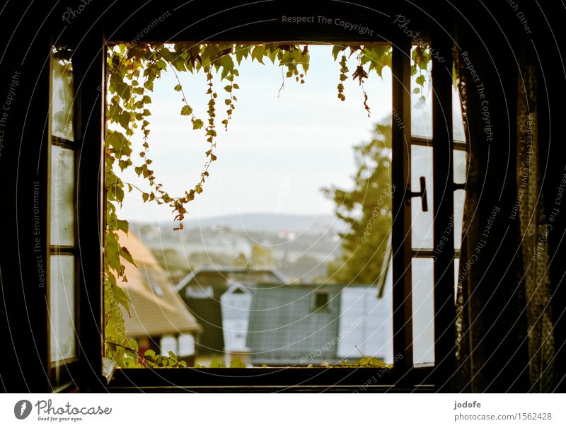 Good morning Landscape Garden Window Bright Loneliness Relaxation Vacation & Travel Rural Plant Tendril Village Saxon Switzerland Morning Wake up Ventilate