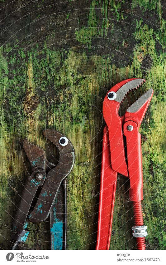 Bite me! Two pincers with eyes on an old wooden table Work and employment Profession Craftsperson Workplace Construction site Services Craft (trade) Tool Claw