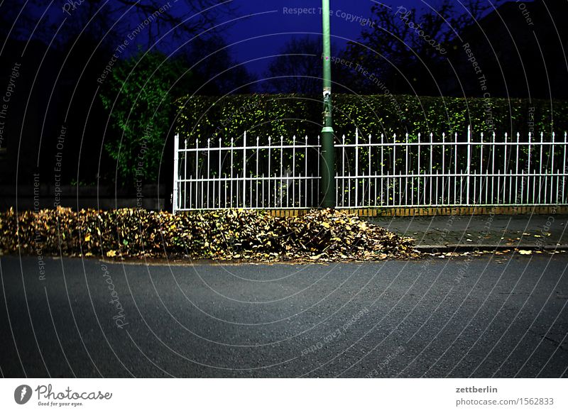 Fence in the evening Metal Hedge Real estate Neighbor Border Possessions Street Asphalt Autumn Leaf Autumn leaves Deciduous tree Heap Clean Sweep Janitor