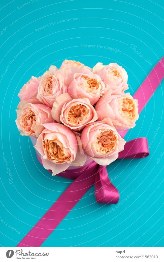 Flower Power with loop I Rose Bouquet Bow Exceptional Fragrance Happiness Kitsch Beautiful Blue Orange Pink Turquoise Spring fever Romance Elegant Colour