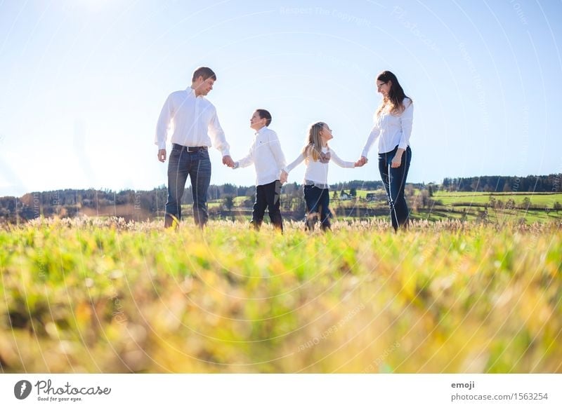 happy family of four hand in hand on the field Human being Family & Relations 4 Environment Nature Beautiful weather Field Friendliness Happiness Fresh Together