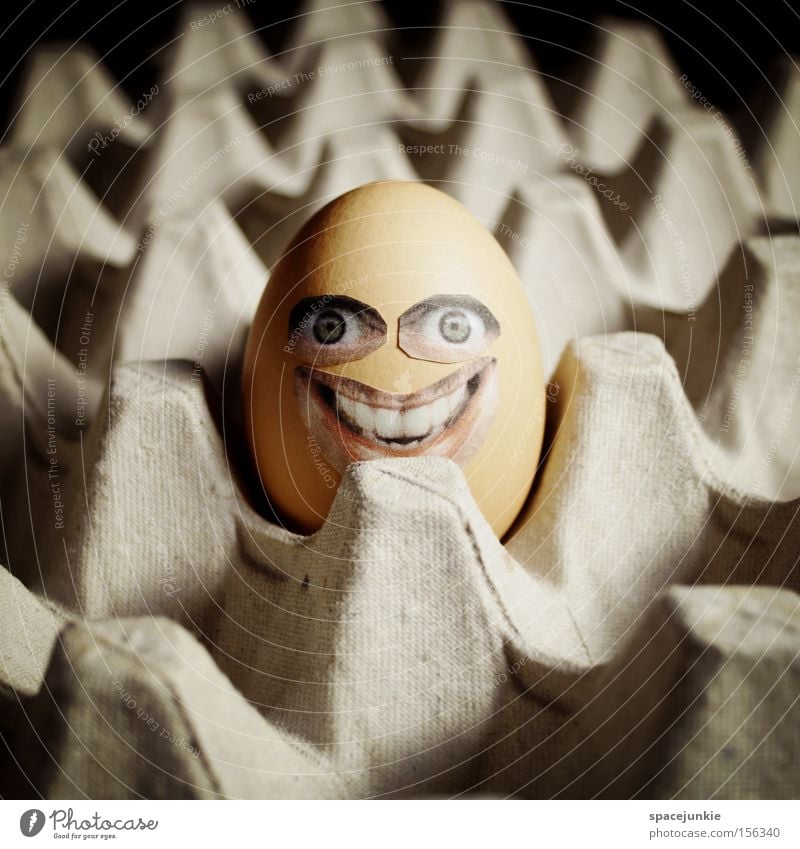 Happy egg Egg Eggshell Cardboard Packaging Cardboard box Yolk Easter Face Grinning Laughter Whimsical Joy