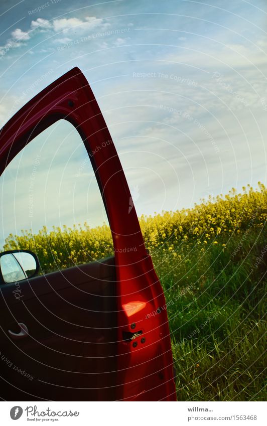 Open red car door on rape field Car door Red Canola Canola field Spring Rear view mirror Oilseed rape flower Agricultural crop Spring day Trip Nature