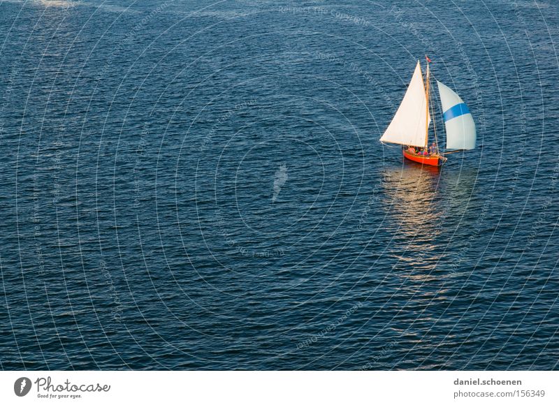 sail away with me honey Water Ocean Sailing Sailing ship Waves Wanderlust Blue Watercraft White Aquatics