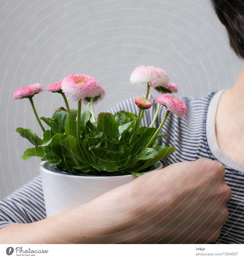Belli for Finti Lifestyle Style Joy Happy Woman Adults Arm Hand 1 Human being Spring Flower Pot plant Spring flower Bouquet Blossoming To hold on Spring fever