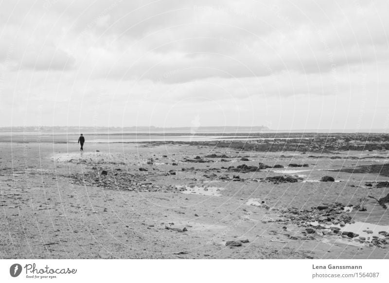 Lonely figure on the beach in North England Masculine Man Adults 1 Human being 18 - 30 years Youth (Young adults) Environment Nature Sand Water Sky Clouds Coast