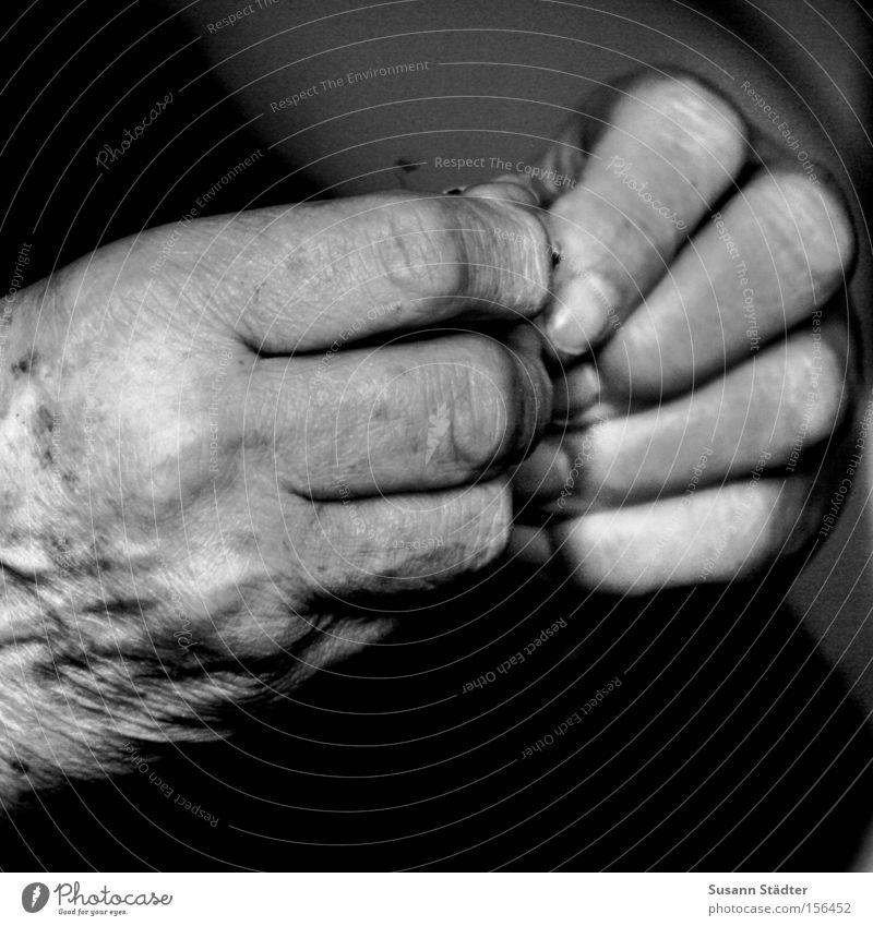 Signs of the times Old Gray Senior citizen Wrinkles Hand Fingers Loneliness Warmth Safety (feeling of) Bible Prayer Remember Calm Stay Thought Free 80 dementia