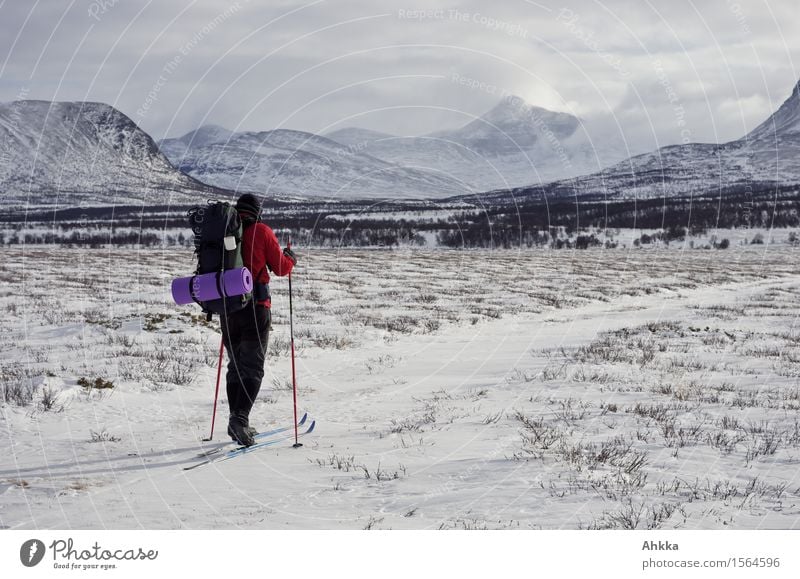 Rondane VI Snow Winter vacation Winter sports Skiing Young man Youth (Young adults) 1 Human being Landscape Mountain Snowcapped peak Lanes & trails Backpack