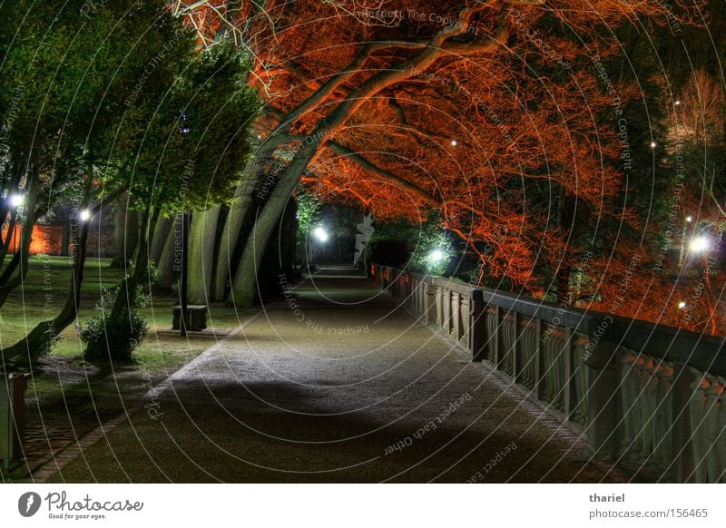 Red Trees Night Lanes & trails Heidelberg Castle Park