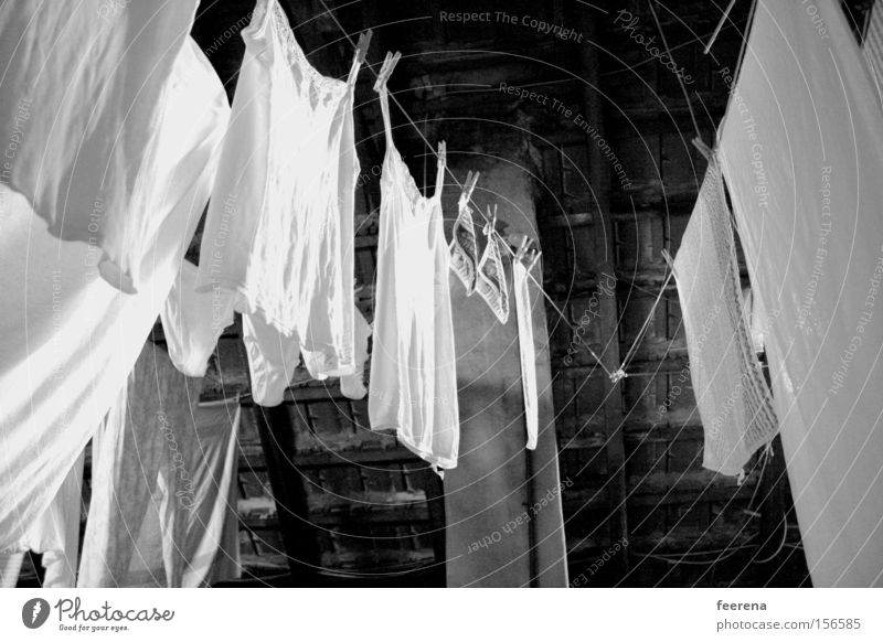 attic Laundry Clothesline Attic Old Dusty Derelict Wood Roofing tile Laundered Pure Dry Converse Contrast Calm Interior shot Clothing Illuminate