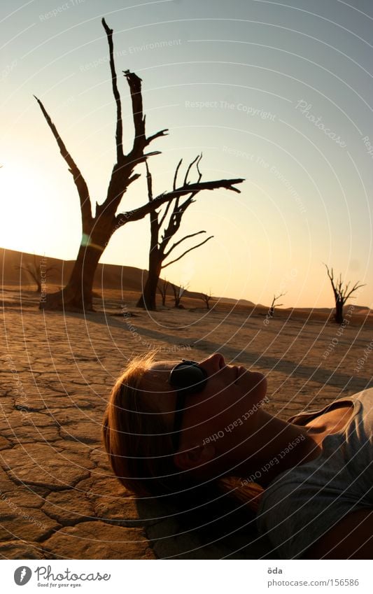 Light and shadow Desert Tree Dry Shadow Twig Branch Death Namibia Namib desert Loneliness Dead Vlei Sunset Environmental pollution Africa