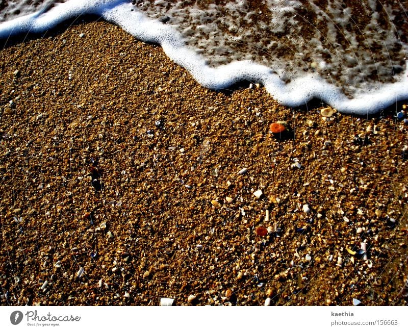 ...and gone again! Beach Ocean Waves Sand Water Coast Movement Foam Bubbling Hissing Summer Spain Travel photography Mussel Health Spa Beach vacation Brown