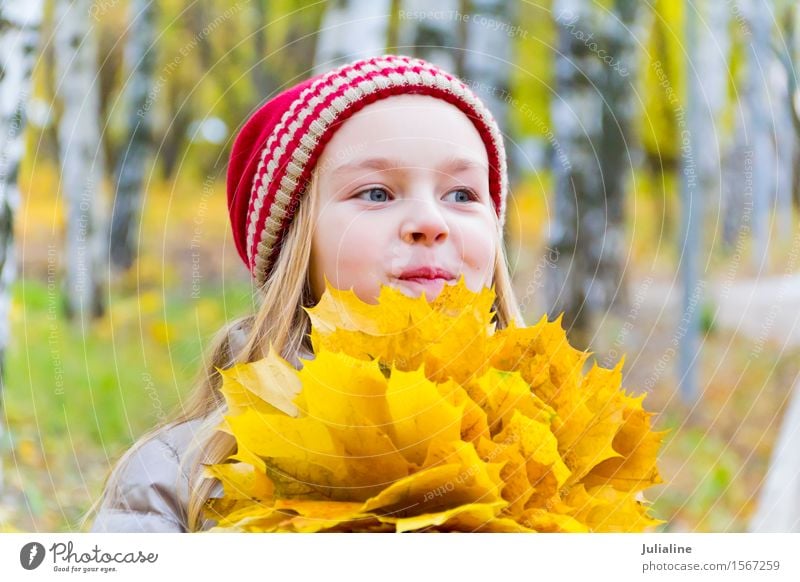 Girl with bouquet from sheets in autumn Herbs and spices Child Schoolchild Woman Adults Infancy 1 Human being 8 - 13 years Plant Autumn Leaf Hat Blonde Cute Red