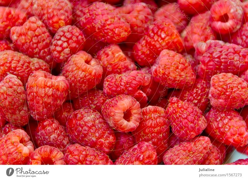 Background fresh red raspberry Food Vegetarian diet Fresh Red Raspberry sweet Berries healthy Raw Organic garden stuff Colour photo