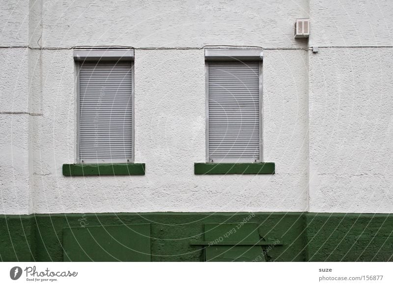 Sunday Flat (apartment) House (Residential Structure) Wall (barrier) Wall (building) Window Line Gloomy Green Closed Plaster Roller shutter Venetian blinds