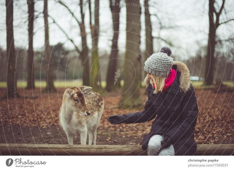 feeding Young woman Youth (Young adults) Woman Adults 1 Human being 18 - 30 years Nature Autumn Tree Park Forest Coat Cap Blonde Animal Wild animal Pelt Zoo
