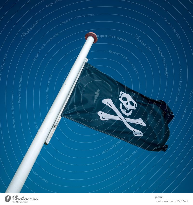 in spite of oneself Sky Wind Flag Threat Retro Blue Black White Bizarre Mysterious Crisis Protest Revolt Argument Change Death's head pirate flag Pirate Resist