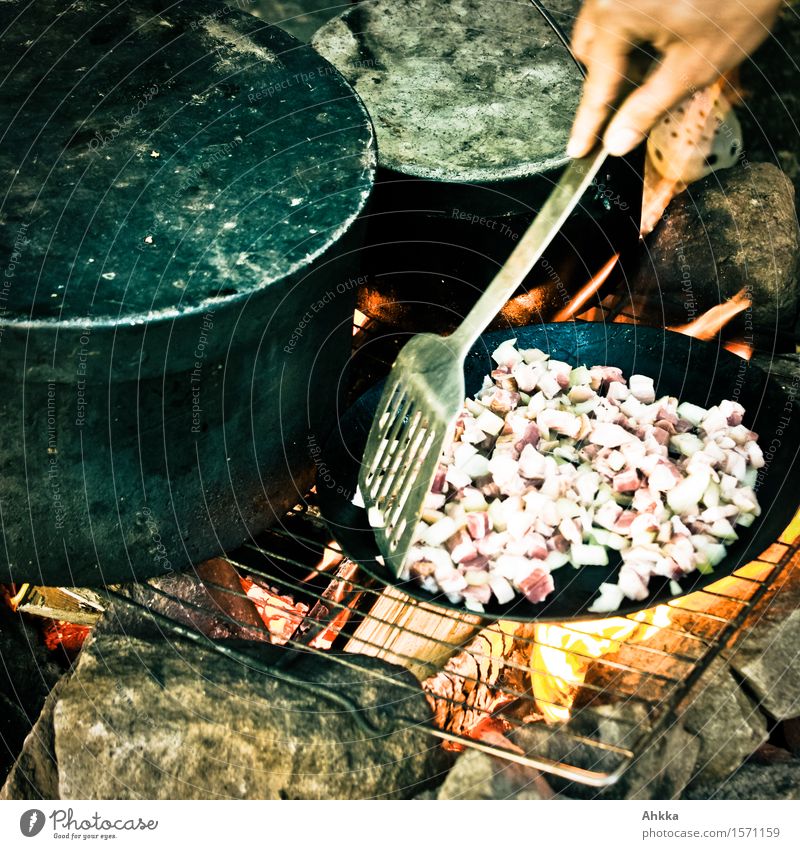 Bacon in the pan Food Meat Pot Pan Leisure and hobbies Trip Nature Fire Stone Wood Testing & Control Hand Anticipation Colour photo Exterior shot Close-up Day