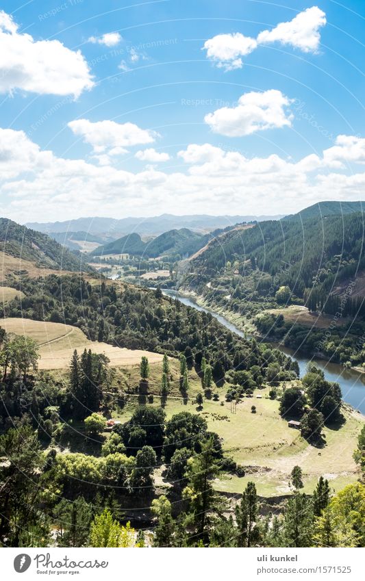 Whanganui River Road Vacation & Travel Tourism Trip Adventure Far-off places Freedom Summer Mountain Hiking Nature Landscape Plant Air Water Sky Clouds Tree