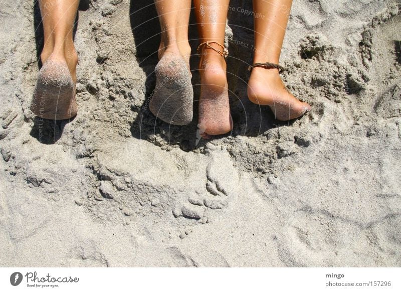 togetherness Beach Feet Vacation & Travel Ocean Legs Deckchair Calm Summer Sand Relaxation Coast Warmth