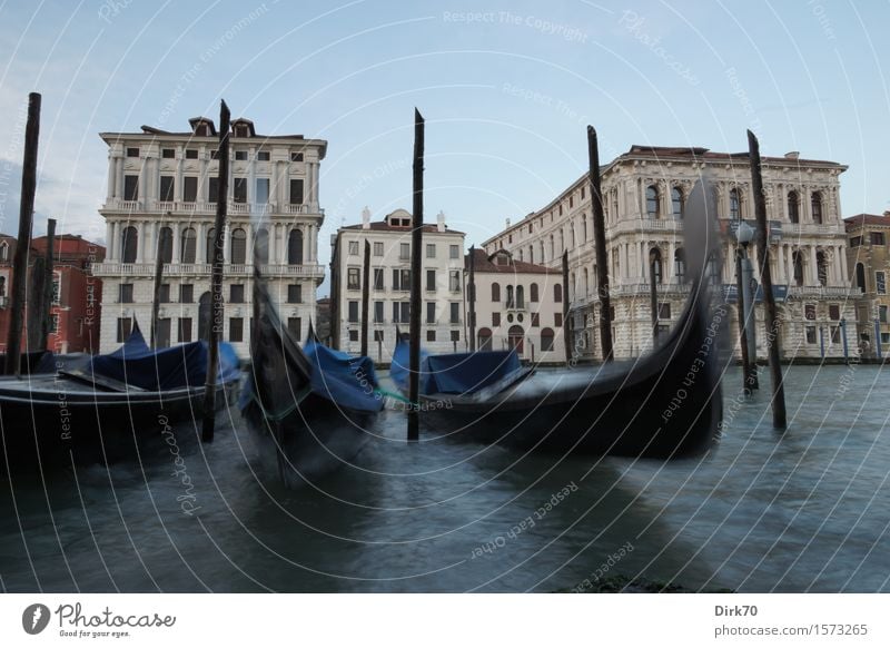 Venice in motion Lifestyle Elegant Style Vacation & Travel Tourism Sightseeing City trip Water Cloudless sky Beautiful weather Waves Channel Italy Town